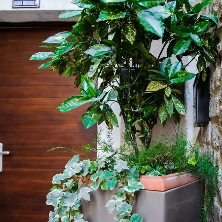 Appartamento Grand Bedroom Aptm Palace Location *